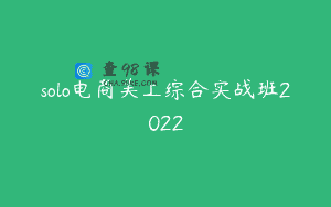 solo电商美工综合实战班2022
