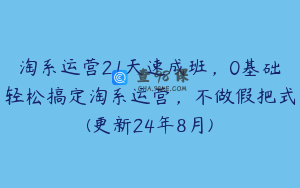 淘系运营21天速成班，0基础轻松搞定淘系运营，不做假把式(更新24年8月)