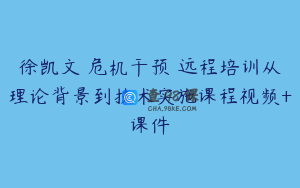 徐凯文 危机干预 远程培训从理论背景到技术实施课程视频+课件