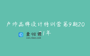 卢帅品牌设计特训营第9期2021年