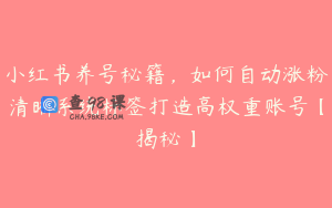 小红书养号秘籍，如何自动涨粉清晰系统标签打造高权重账号【揭秘】