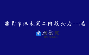 通背拳体术第二阶段劲力--腿法五劲