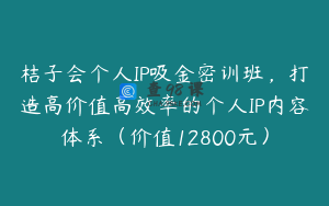 桔子会个人IP吸金密训班，打造高价值高效率的个人IP内容体系（价值12800元）