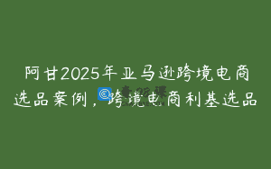 阿甘2025年亚马逊跨境电商选品案例，跨境电商利基选品