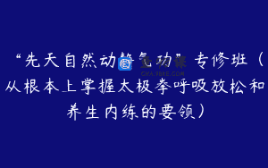 “先天自然动静气功”专修班（从根本上掌握太极拳呼吸放松和养生内练的要领）