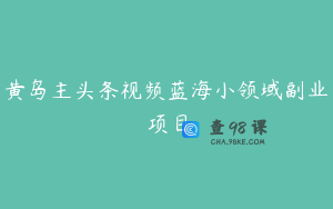 黄岛主头条视频蓝海小领域副业项目