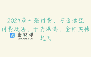 2024最牛强付费，万金油强付费玩法，干货满满，全程实操起飞