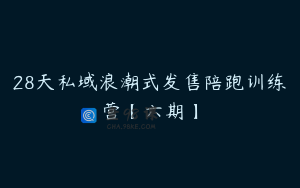 28天私域浪潮式发售陪跑训练营【六期】