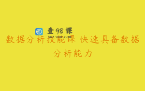 数据分析技能课 快速具备数据分析能力