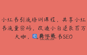 小红书引流培训课程，共享小红书流量密码，改造小白逆袭百万大咖，玩转小红书SEO