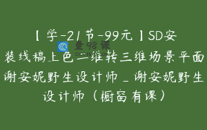 【学-21节-99元】SD安装线稿上色二维转三维场景平面谢安妮野生设计师_谢安妮野生设计师（橱窗有课）