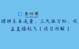 蹭胖东来流量，三天涨万粉，收益直接起飞【项目拆解】