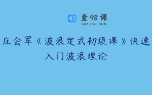 庄会军《波浪定式初级课》快速入门波浪理论