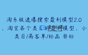 淘系极速爆搜索盈利模型2.0，淘宝各个类目的盈利模型，小类目/高客单/标品 非标
