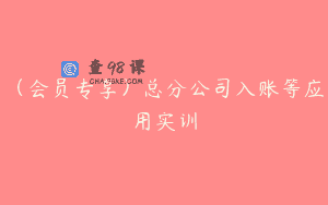 （会员专享）总分公司入账等应用实训