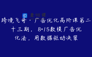 跨境飞哥·广告优化高阶课第二十三期，​8*15数模广告优化法，用数据驱动决策