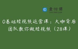 0基础短视频运营课:大咖背后团队教你做短视频(28课)