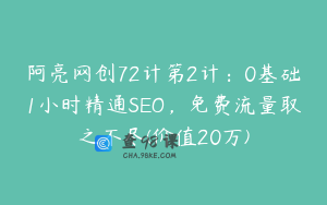 阿亮网创72计第2计：0基础1小时精通SEO，免费流量取之不尽(价值20万)