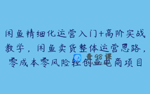 闲鱼精细化运营入门+高阶实战教学，闲鱼卖货整体运营思路，零成本零风险轻创业电商项目