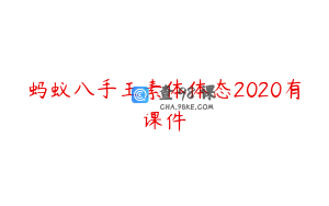 蚂蚁八手王素体体态2020有课件