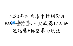 2023年抖店爆单特训营VIP现场课：六大实战篇+7天快速起爆+标签暴力玩法