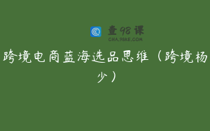 跨境电商蓝海选品思维（跨境杨少）