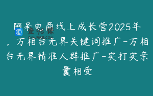 阿呆电商线上成长营2025年，万相台无界关键词推广-万相台无界精准人群推广-实打实亲囊相受