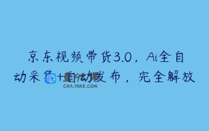 京东视频带货3.0，Ai全自动采集+自动发布，完全解放