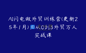 AI闪电做外贸训练营(更新25年1月)，从0到3外贸万人实战课