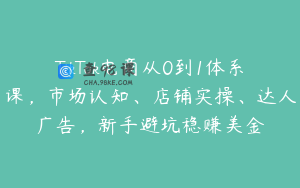 TikTok电商从0到1体系课，市场认知、店铺实操、达人广告，新手避坑稳赚美金