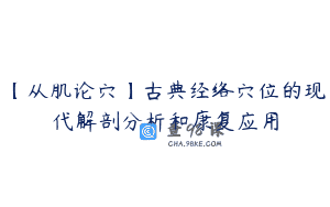 【从肌论穴】古典经络穴位的现代解剖分析和康复应用