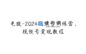 老旋-2024视频号训练营，视频号变现教程