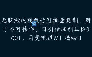 无脑搬运视频号可批量复制，新手即可操作，日引精准创业粉300+，月变现过W【揭秘】