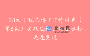 28天小红书博主IP特训营(第3期)实战经验,快速涨粉,迅速变现