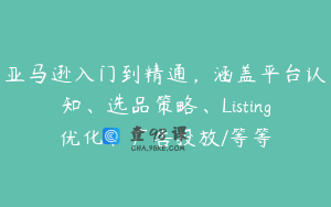 亚马逊入门到精通，涵盖平台认知、选品策略、Listing优化、广告投放/等等