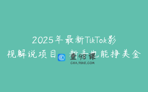 2025年最新TikTok影视解说项目，新手也能挣美金