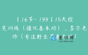 【16节-￥199】15天控笔训练（强化基本功）_享尔老师（专注野生眉基本功）
