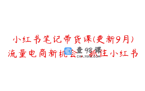 小红书笔记带货课(更新9月)流量电商新机会，抓住小红书
