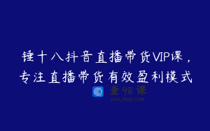锤十八抖音直播带货VIP课，专注直播带货有效盈利模式