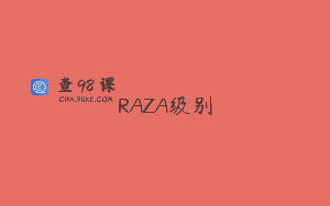RAZA级别