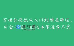 万相台投放从入门到精通课程，学会这些，低成本拿流量不愁