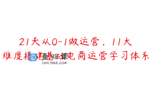 21天从0-1做运营，11大维度搭建基础电商运营学习体系