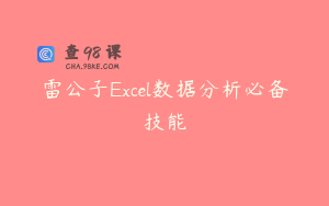 雷公子Excel数据分析必备技能