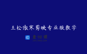 王松傲寒剪映专业版教学