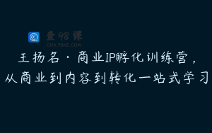 王扬名·商业IP孵化训练营，从商业到内容到转化一站式学习
