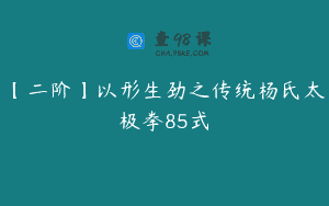 【二阶】以形生劲之传统杨氏太极拳85式