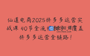 仙道电商2025拼多多运营实战课 40节全流程教学，覆盖拼多多运营全链路！