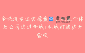全域流量运营操盘课，赋能个体及公司通过全域+私域打通提升营收