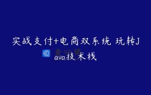 实战支付+电商双系统 玩转Java技术栈
