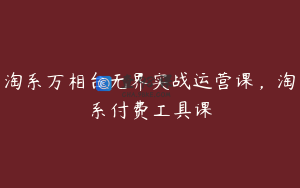 淘系万相台无界实战运营课，淘系付费工具课